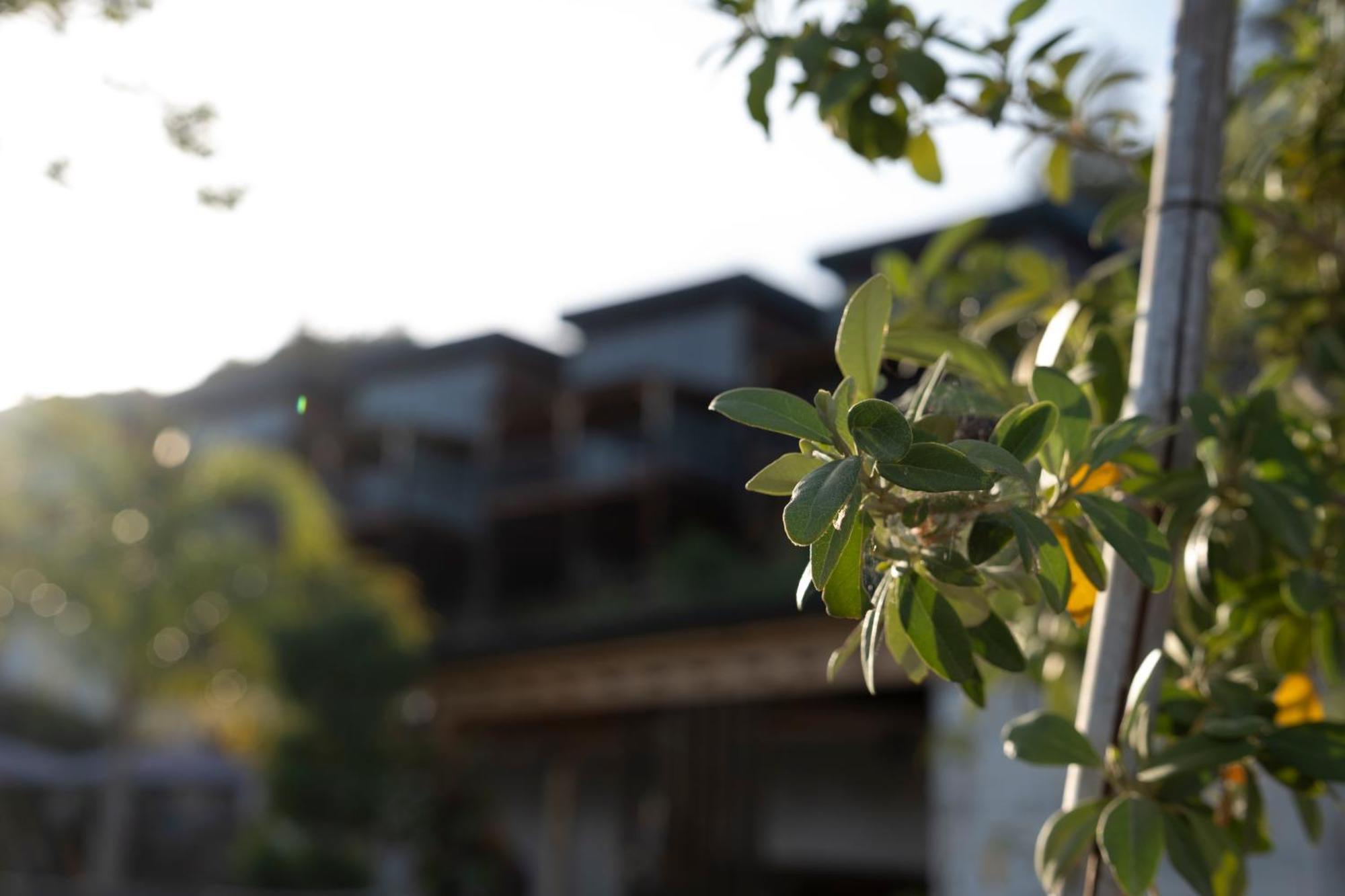 La Veranda Villas Kumluca Dış mekan fotoğraf